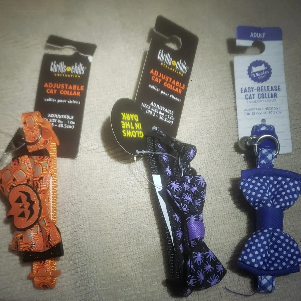 Vibrant Orange and Black Dog Accessories